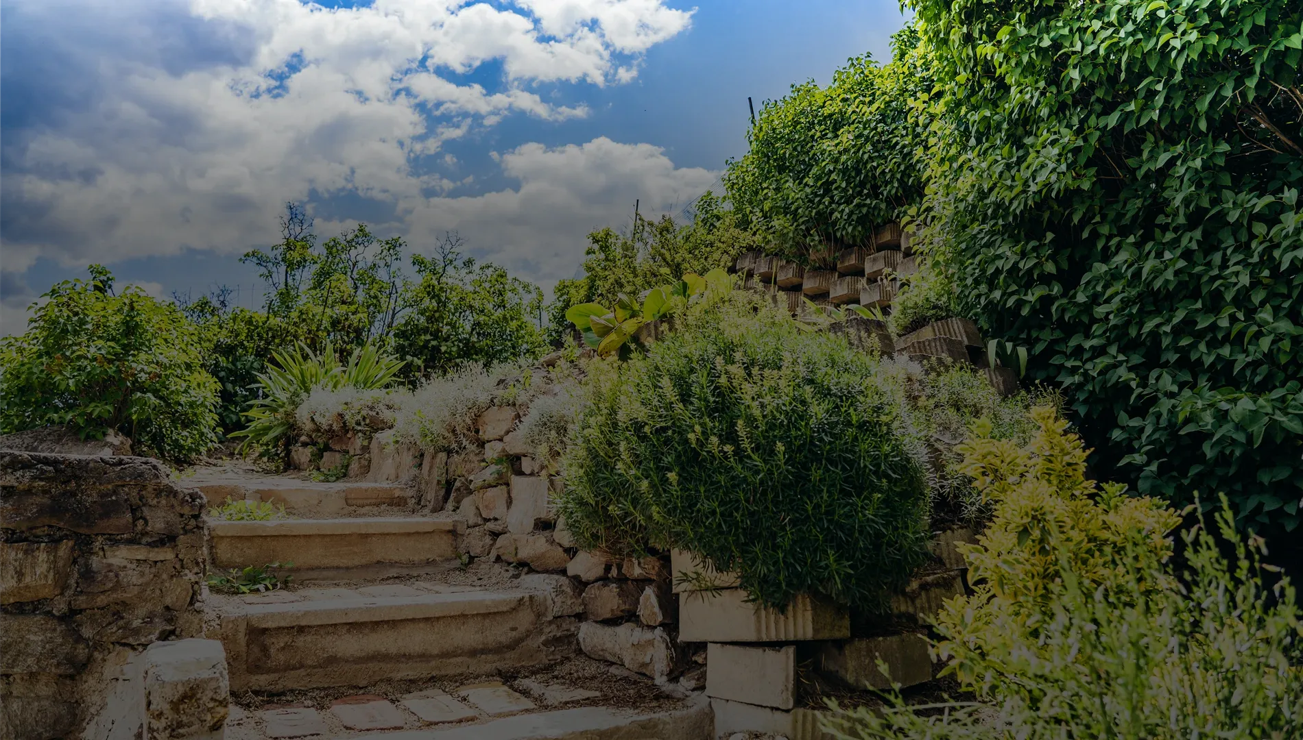 Kein Bildtext verfügbar